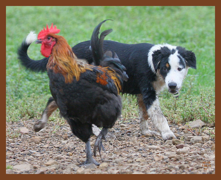 monty-162-7-4-10b.JPG