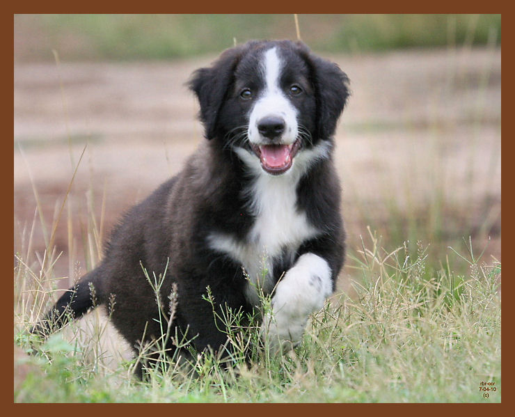 jake-223-7-4-10b.JPG