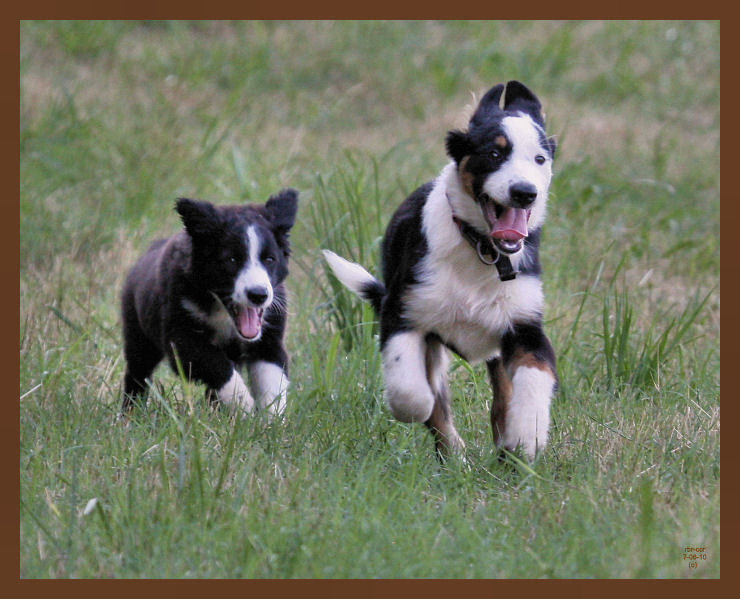 jake-monty630-7-6-10b.JPG
