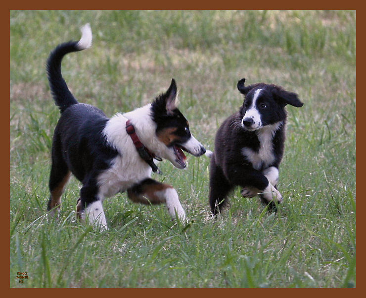 jake-monty636-7-6-10b.JPG