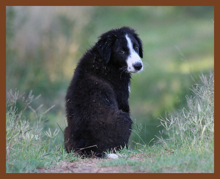 jake-993-7-26-10b.JPG
