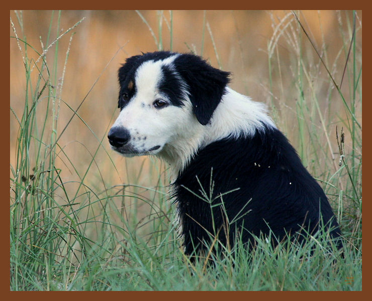 monty-676-8-1-10b.JPG