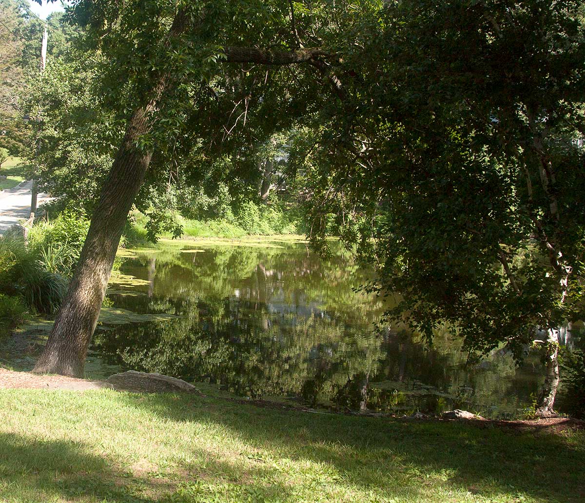 Phillips Manor Pond