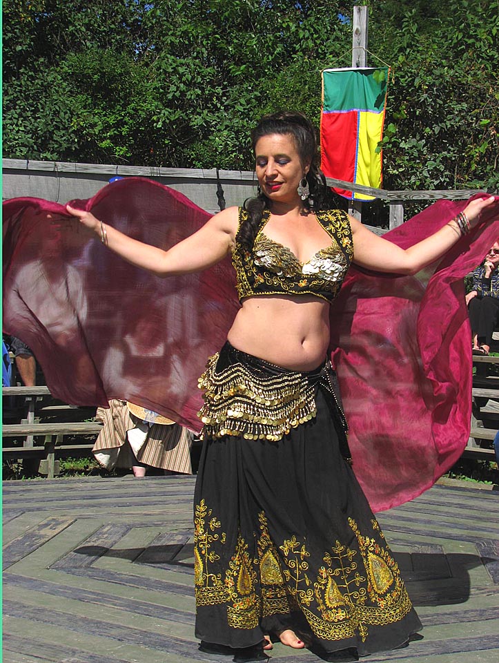 We Didnt Know<br>There Was Belly Dancing<br> in the Middle Ages