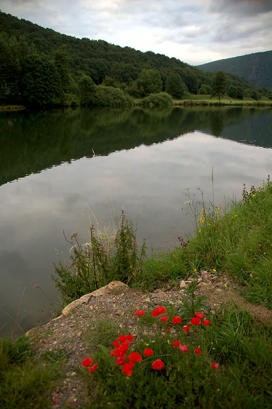 15th July 2008 <br> Meuse