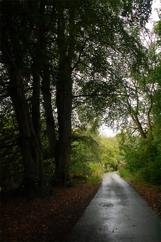 7th October 2008 <br> day of rain