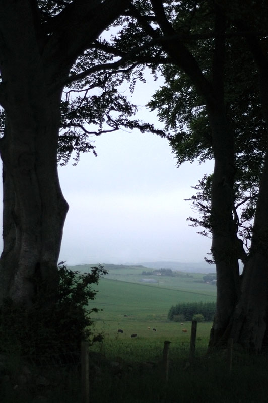 24th June 2009  misty evening