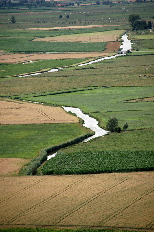 DSC_0210 copy.jpg