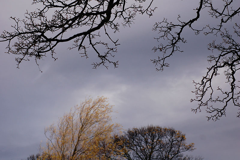 21st November 2009 <br> winter coming