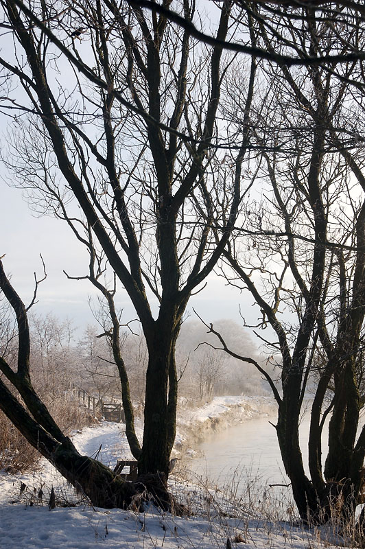 DSC_0090 copy.jpg