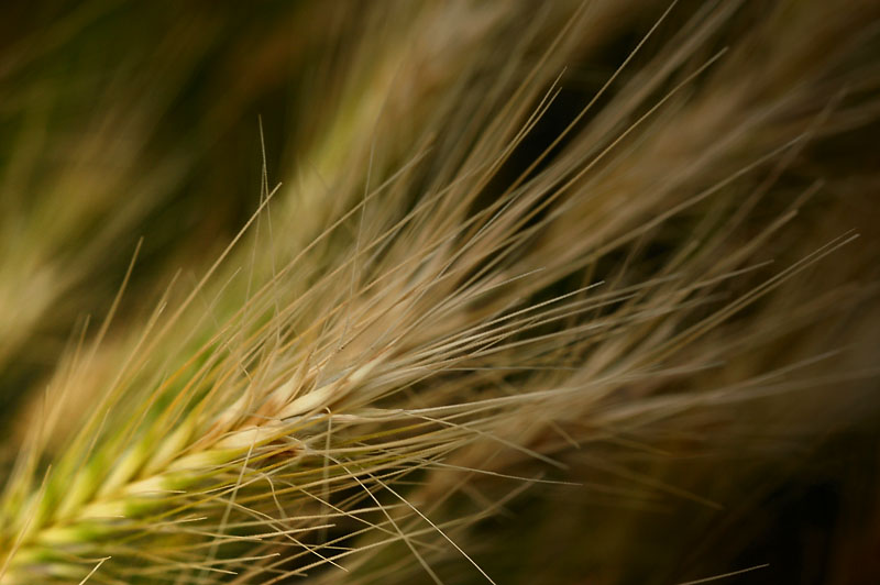 27th July 2010 <br> in a field