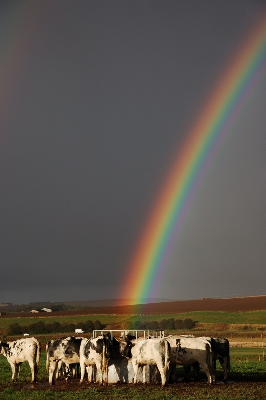 24th September 2010 <br> rainbow