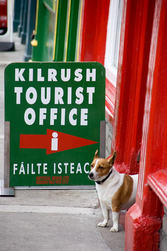 15th July 2011 <br> Kilrush