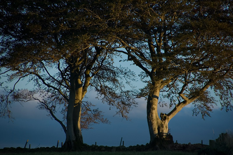 2nd October 2011 <br> Sunday evening