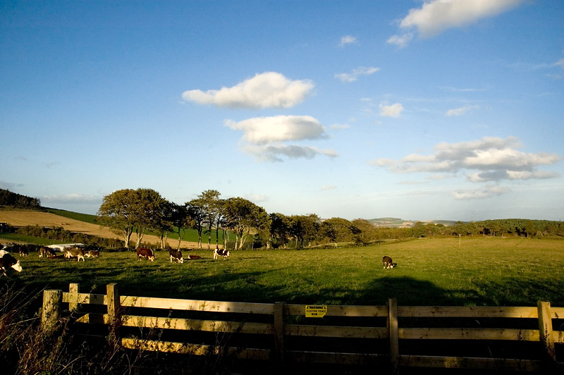3rd October 2011 <br> golden evening