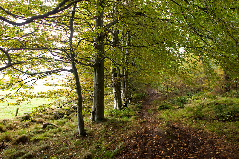 20th October 2012 <br> October path