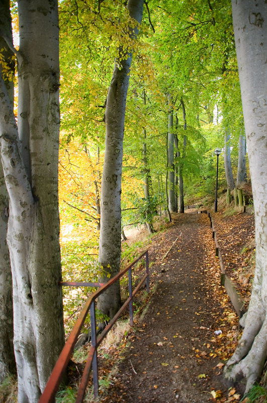 27th October 2012 <br> by the River Don