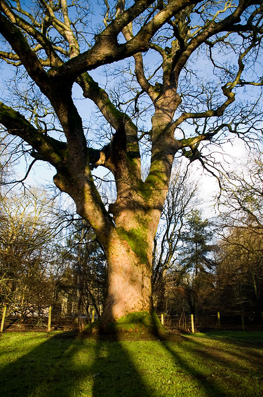 DSC_4646 copy.jpg