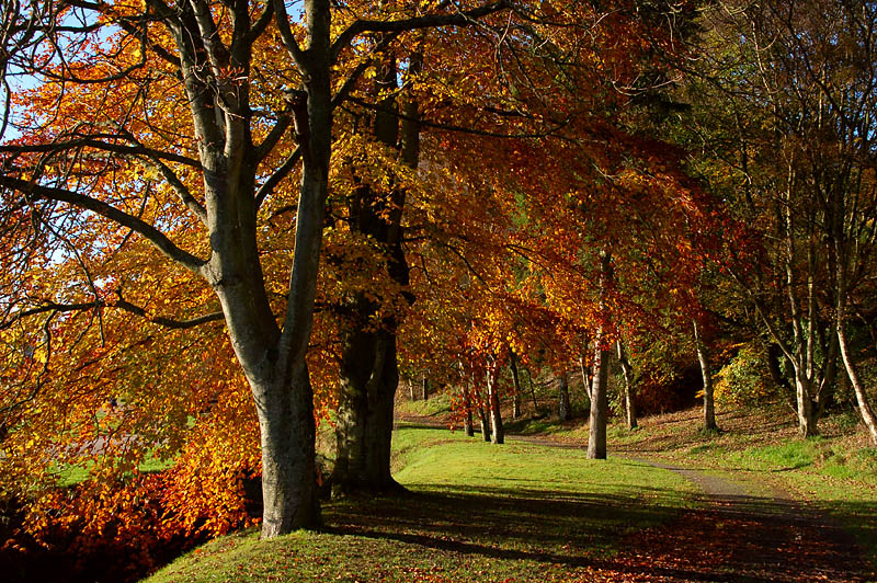 14th November 2006 <br> somewhere in Scotland