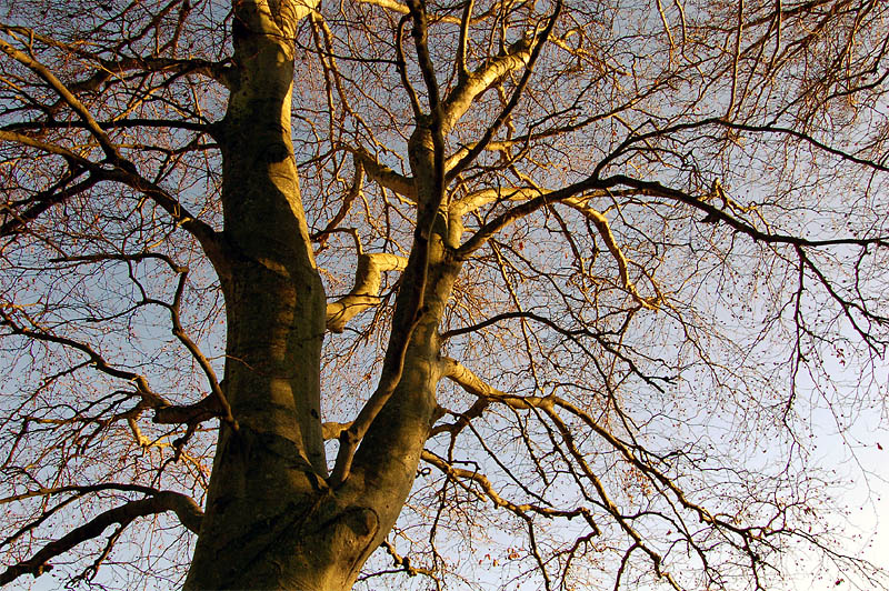 17th November 2006 <br> take heart