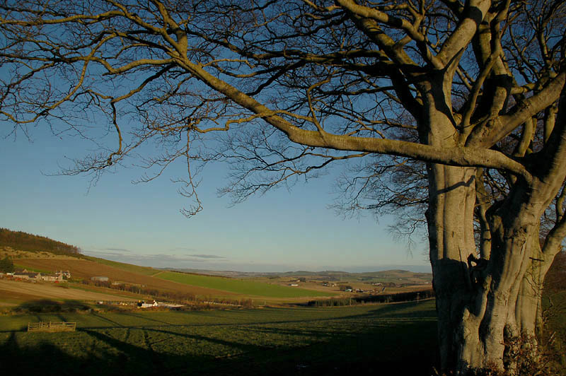 17th December 2006 <br> ice underfoot