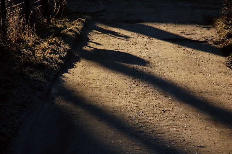 DSC_0100s.jpg