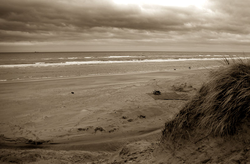 DSC_0022s.jpg