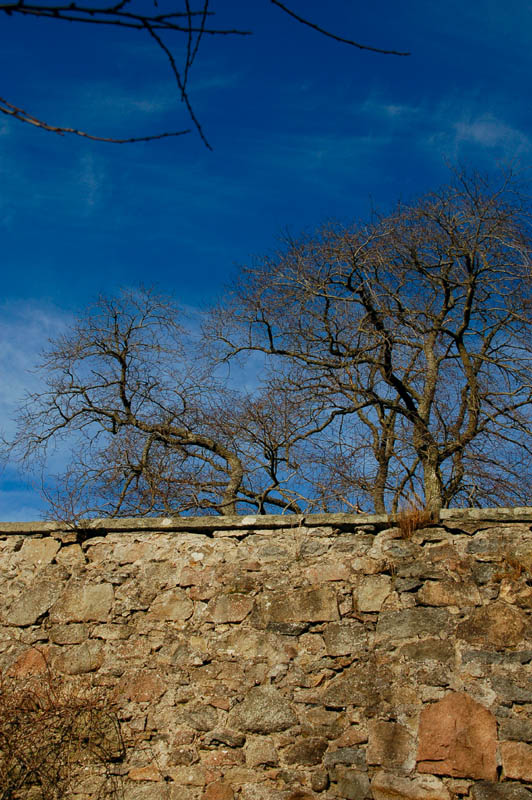DSC_0007s.jpg