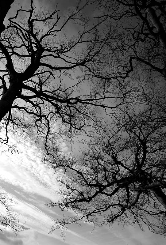 9th February 2007 <br> icy sky