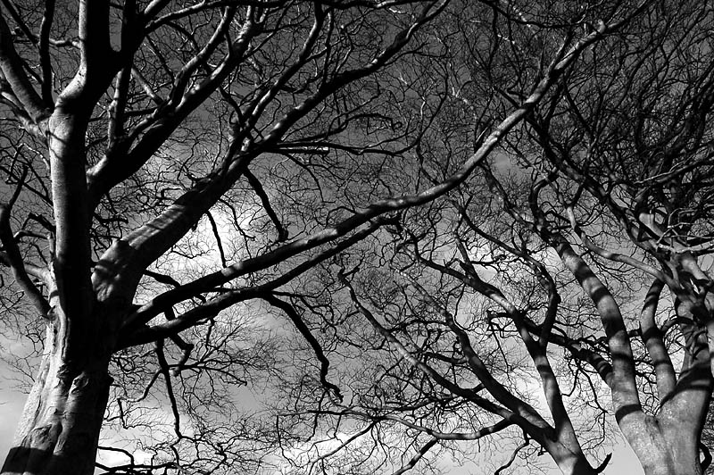 2nd March 2007 <br> spring is on the way