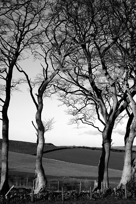 12th March 2007 <br> four days to go