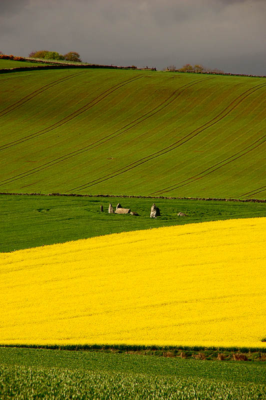 DSC_0003 copy.jpg