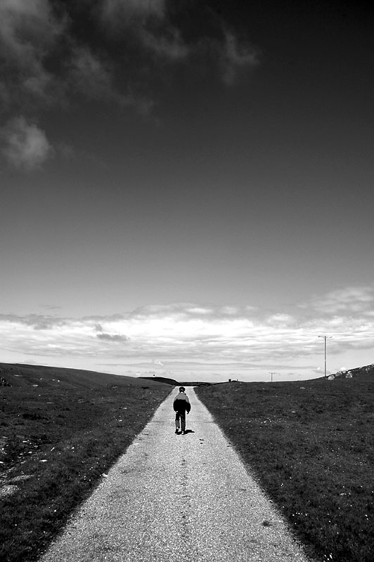 DSC_0065 copy.jpg
