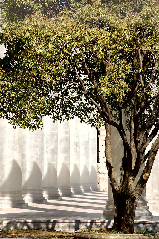 DSC_0298 copy.jpg