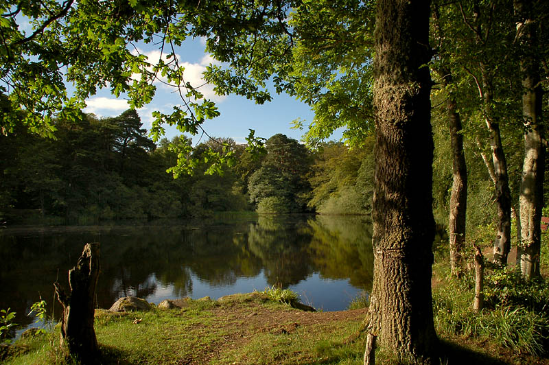 DSC_0099 copy.jpg