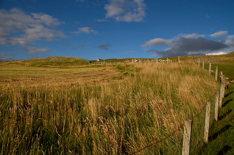 DSC_0018 copy.jpg