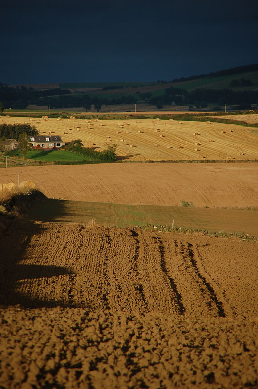 DSC_0073 copy.jpg