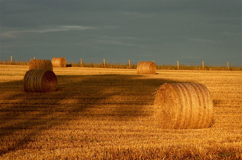 bales