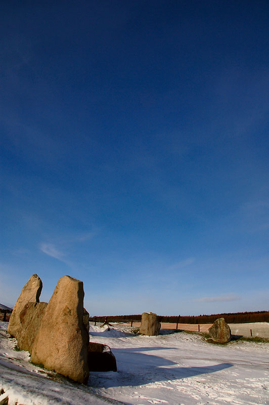 DSC_0012 copy.jpg