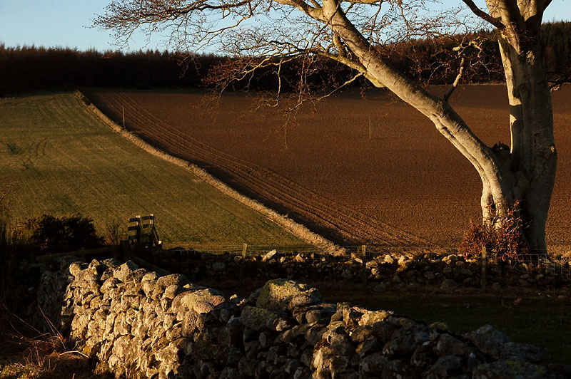 24th February 2008 <br> how the land lies