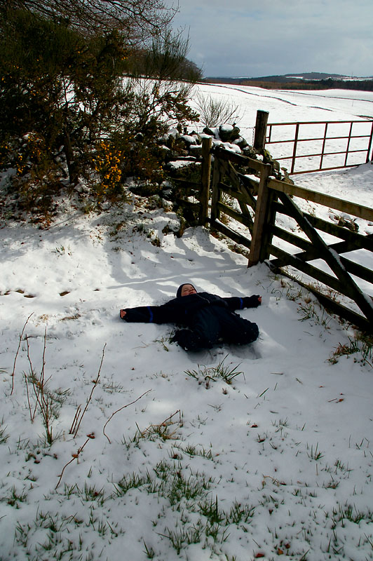 DSC_0106 copy.jpg