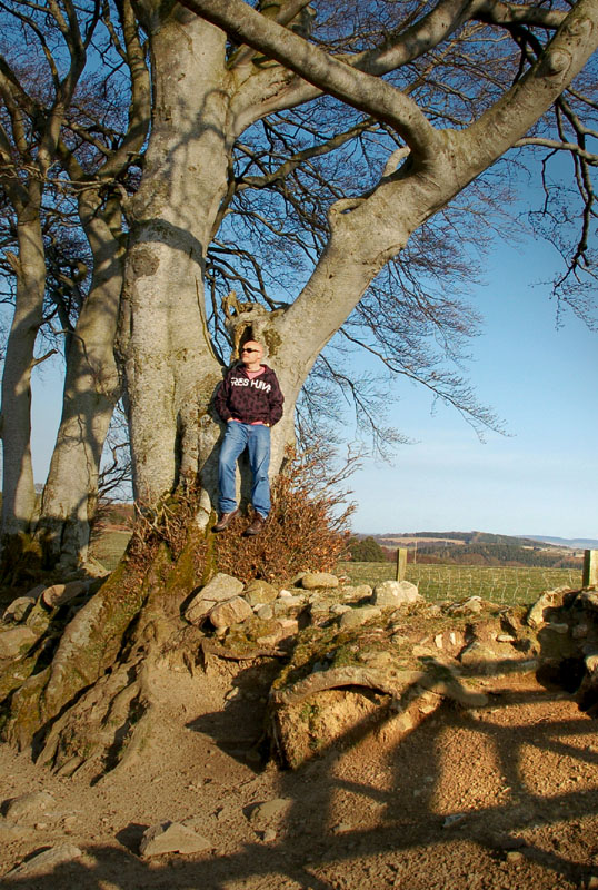 20th April 2008 <br> a tree and me