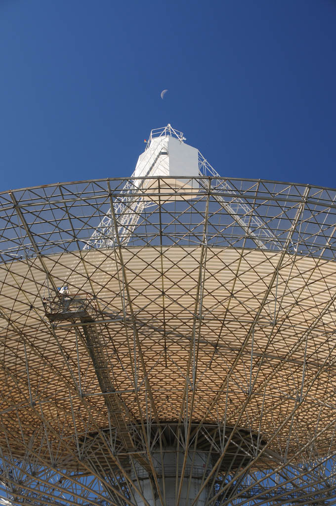 The Moon Jumped Over the Dish