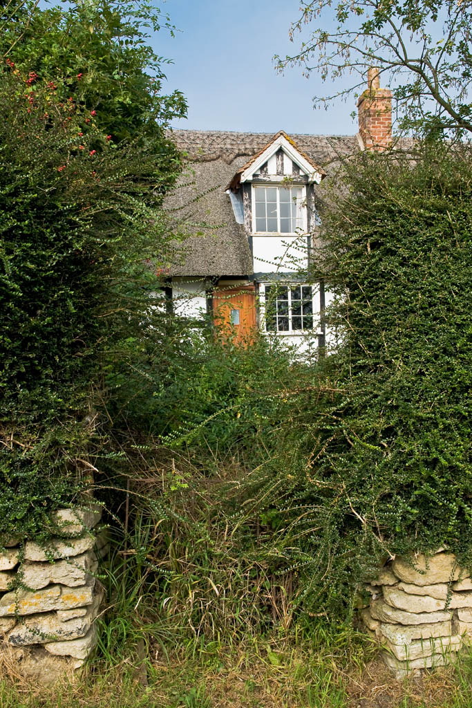 Overgrown