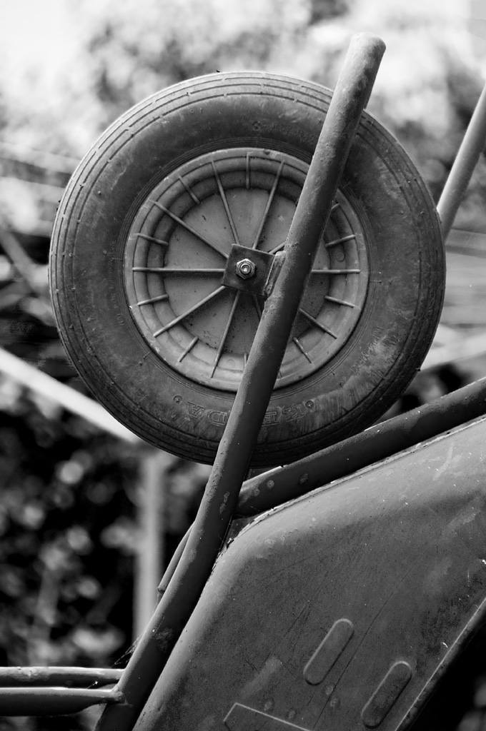 Horticultural Transport