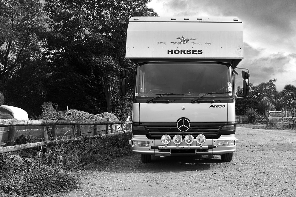 Horse Box