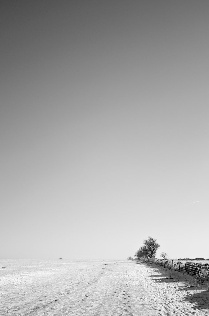 5th - The Waste Land