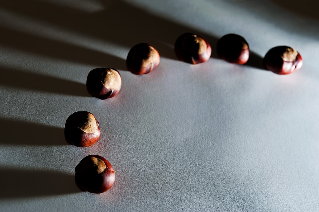 12th - Moodily Lit Conkers...