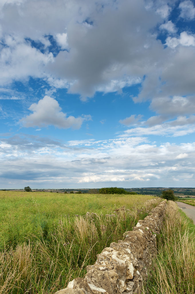 Wide Blue Yonder