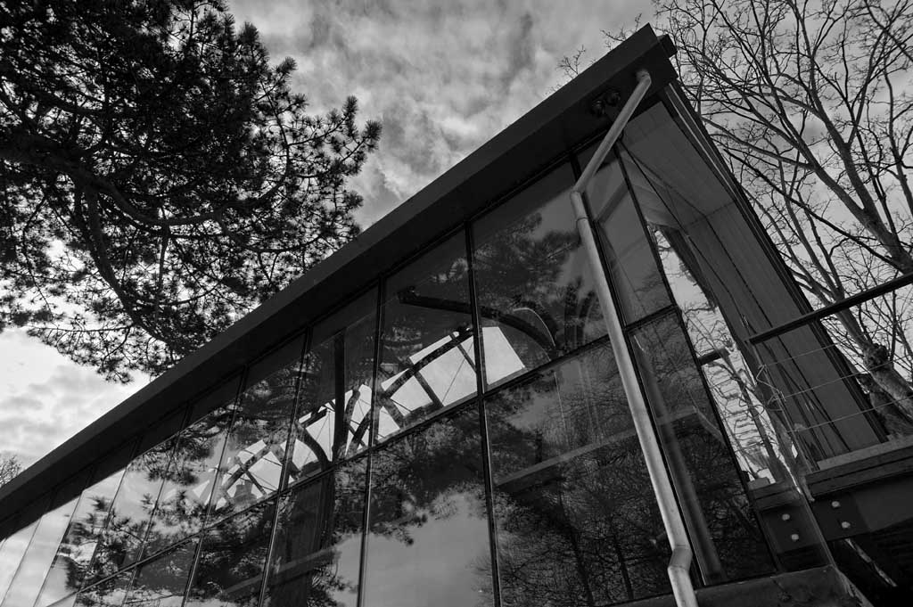 B&W Angles